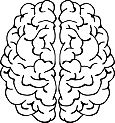 为什么会得羊癫疯 羊癫疯的病因有哪些